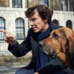 ‘Sherlock’: Benedict Cumberbatch e Martin Freeman comentam sobre os bastidores em vídeo