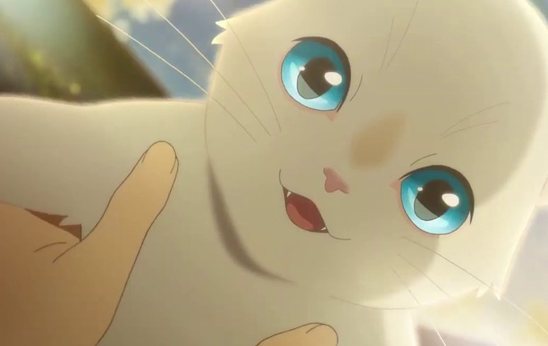 OLHOS DE GATO (Anime Netflix)  UM FILME SOBRE AMOR PRÓPRIO E SUPERAÇÃO 