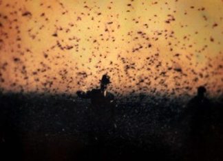 Crítica | Carta A Um Pai: 38ª Mostra de Cinema de SP