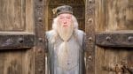 Michael Gambon-dumbledore