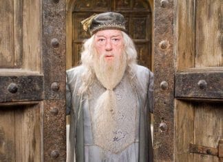 Dumbledore vai se revelar gay nas sequências de ‘Animais Fantásticos’