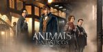 animaisfantasticos_5