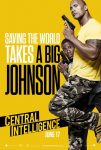 centraldeinteligencia_2
