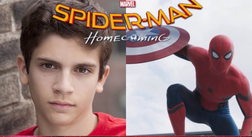 homemaranha_7