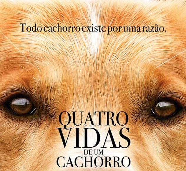 quatrovidasdeumcachorro_1