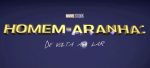 homemaranhadevoltaaolar_7