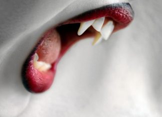 Cartaz e trailer da série de vampiros da Netflix com ator de ‘Vampire Diaries’