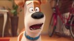 maxresdefault-20