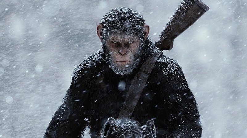 O Filme da Minha Vida', 'Planeta dos Macacos' e mais quatro filmes