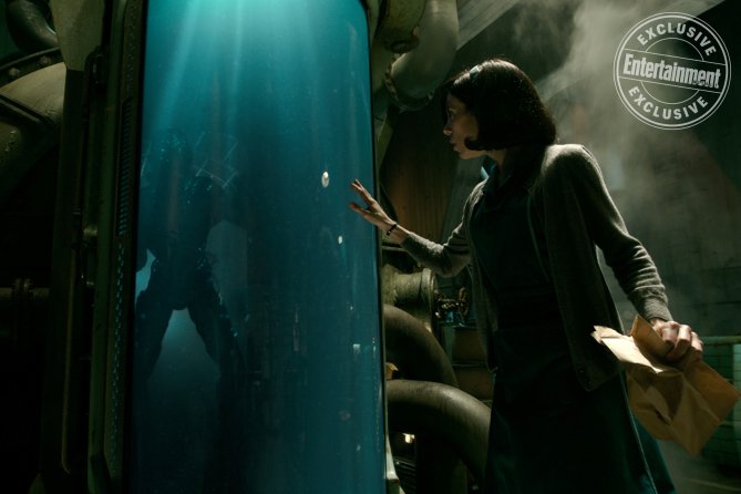 THE SHAPE OF WATER