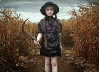 ‘Colheita Maldita’: Livro de Stephen King vai ganhar nova adaptação para os cinemas