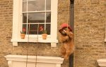 paddington2-cinepop(4)