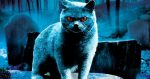 pet-sematary-cinepop