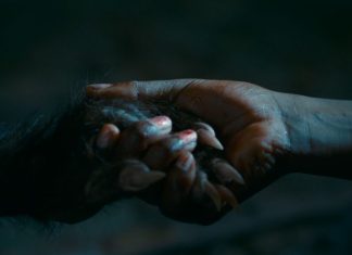 Conheça o elogiado TERROR sobrenatural brasileiro que está no catálogo da Netflix