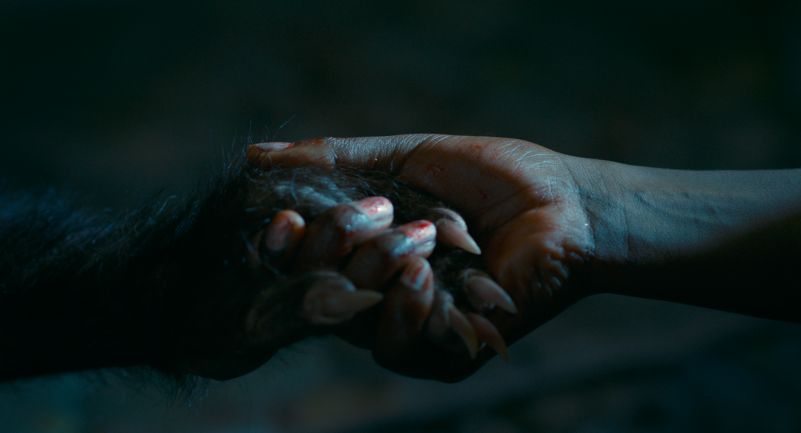 Feria: Segredos Obscuros': Nova série de terror estreia na Netflix - CinePOP