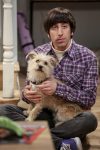 big bang theory 11