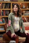 big bang theory 14