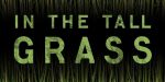 in the tall grass
