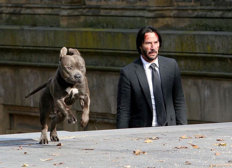 johnwick3