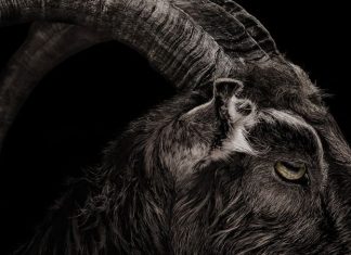 8 Filmes de terror tão ASSUSTADORES que você NÃO deve assistir sozinho