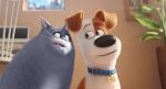 secret-lives-of-pets2-cinepop