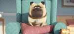 the-secret-life-of-pet-cinepop
