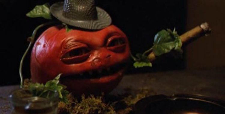 Resultado de imagem para o ataque dos tomates assassinos