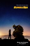 bumblebee1