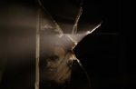 the-texas-chainsaw-massacre-cinepop
