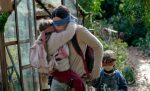 birdbox
