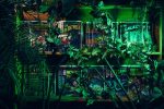 hhn2018_4