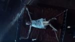 cadaver_6