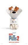 pets2_1
