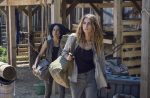 the walking dead18