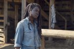 the walking dead20