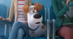 pets2-cinepop
