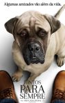 ADJ_INTL_TSR_BIG_DOG_DGTL_1_SHT_BRA