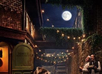 ‘A Dama e o Vagabundo’: Diretor fala sobre o remake em novo vídeo de bastidores