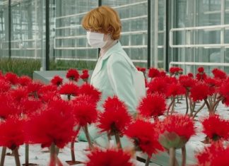 ‘Little Joe’: Flores espalham infecção misteriosa no trailer do suspense; Assista!