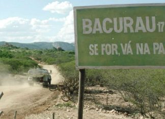 ‘Bacurau’ e ‘A Vida Invisível’ lideram indicações ao Grande Prêmio do Cinema Brasileiro