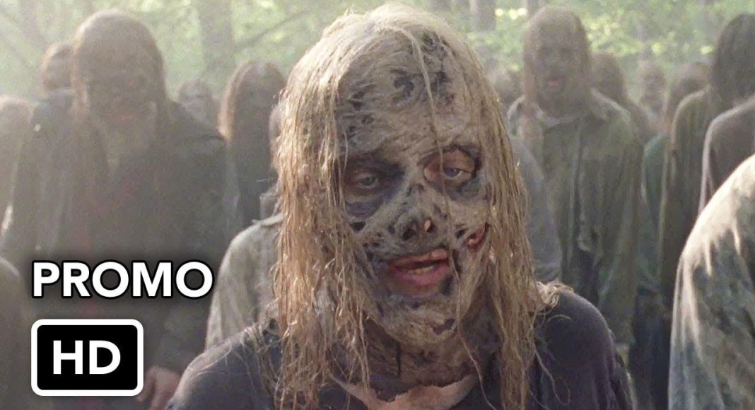 the walking dead