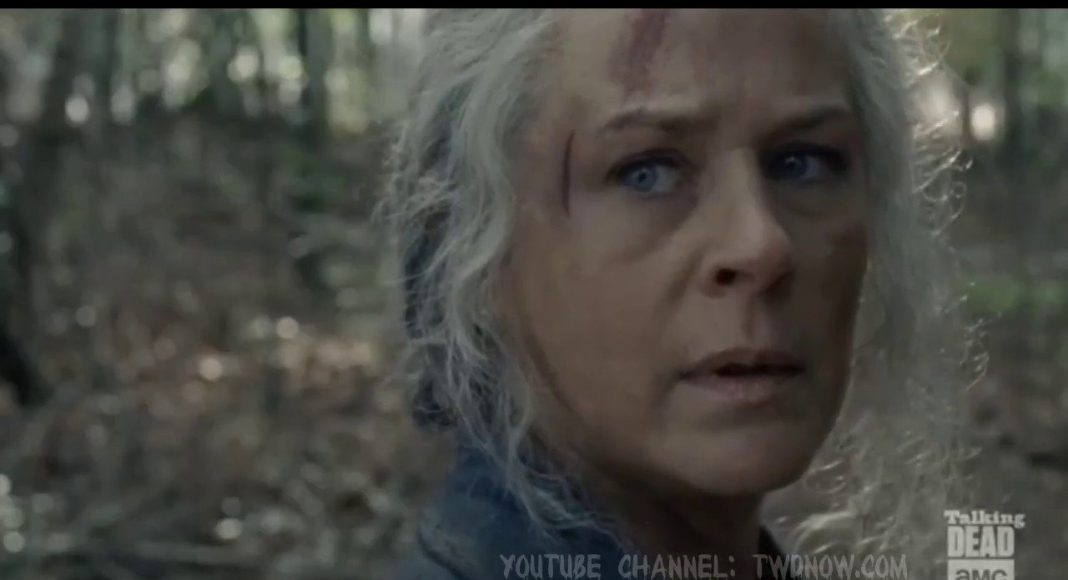 the walking dead