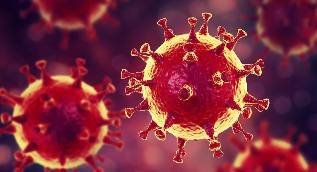 coronavirus