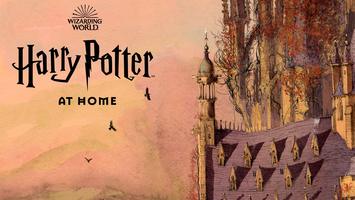 Harry Potter': HBO Max lançará reality show competitivo entre as casas da  franquia; Confira o trailer! - CinePOP