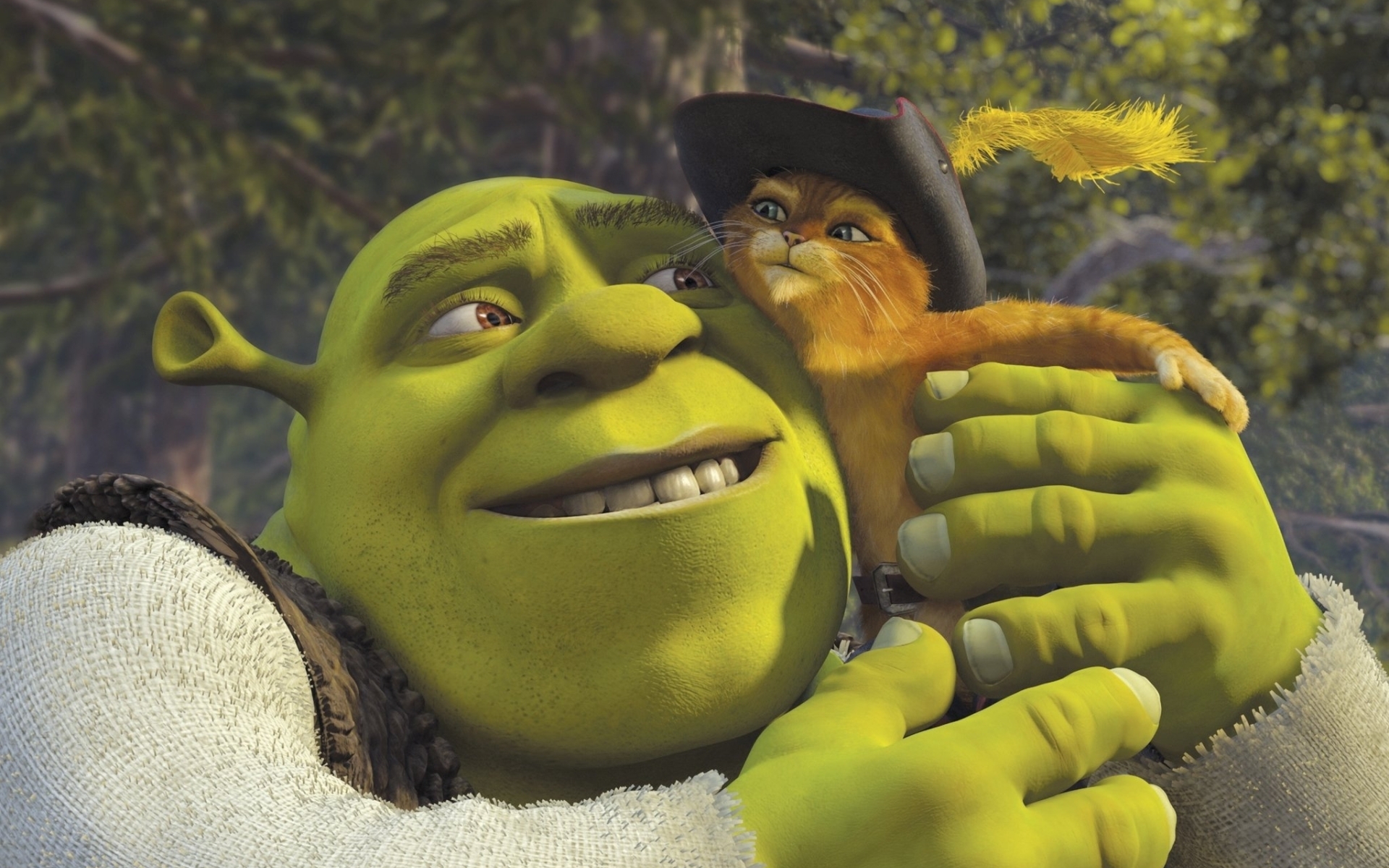 Shrek: Amor, você foi pro pântano hoje? Fiona: Não. Shrek: E esse