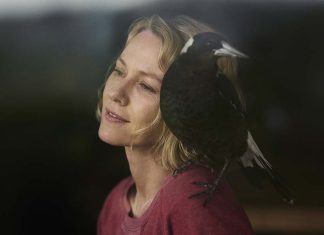 Crítica | Penguin Bloom: Naomi Watts e Andrew Lincoln em cinebiografia emocionante, mas esquecível