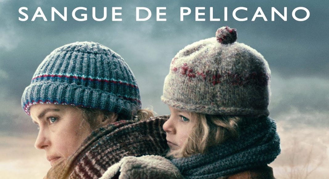 sangue de pelicano