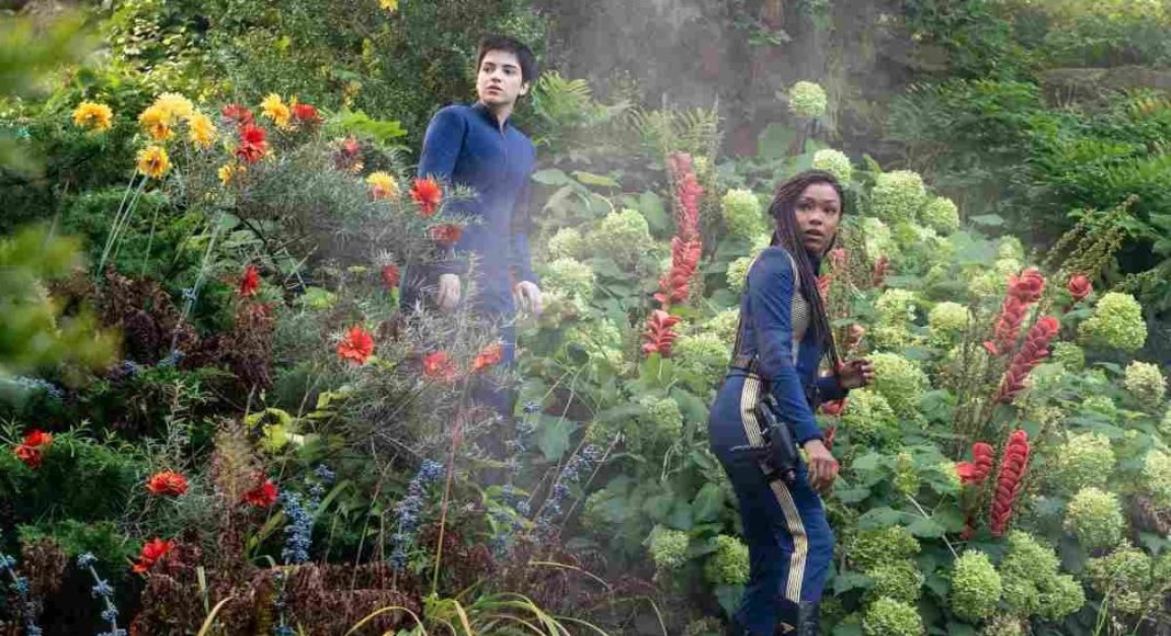 discovery 20