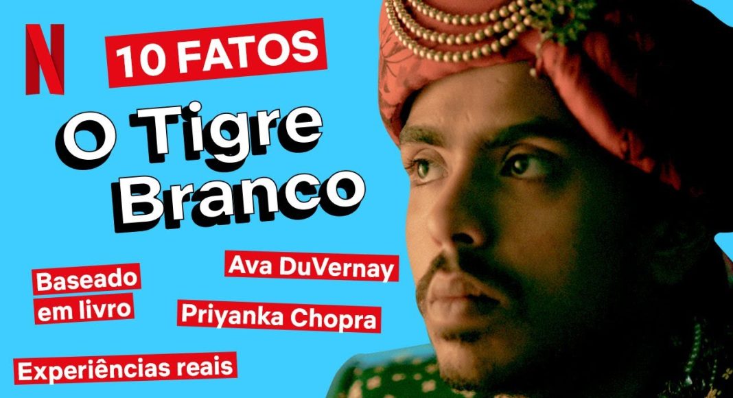 o tigre branco 2