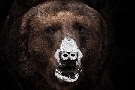 E o filme Cocaine Bear que no Brasil virou O Urso do Pó Branco